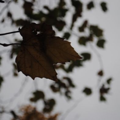 tsaPhotoClubwk7 (3)